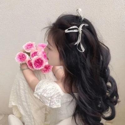 小查与寇弟的顶级冒险